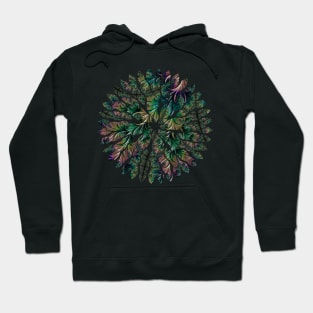 Iridescent Feathers Fractal Art Hoodie